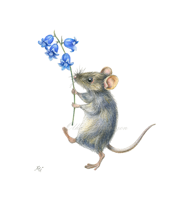 The Herald of Spring. Mouse with bluebell. Original Pencil drawing, artist Olha Mi Corazon